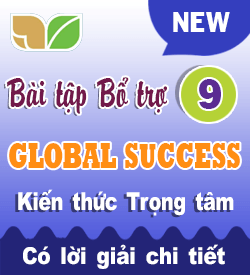 Global success English 9 (2027)